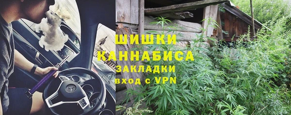PSILOCYBIN Навашино