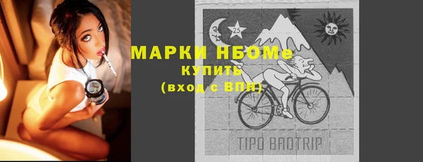 индика Алзамай