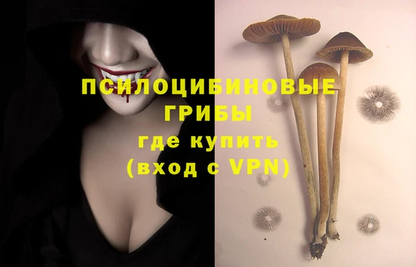 индика Алзамай