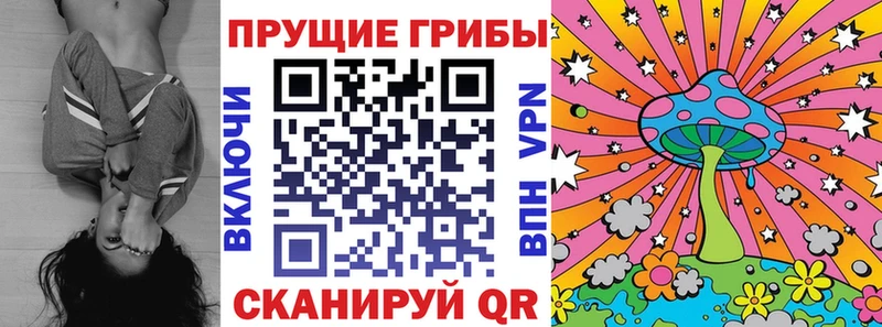где найти наркотики Казань Галлюциногенные грибы мухоморы